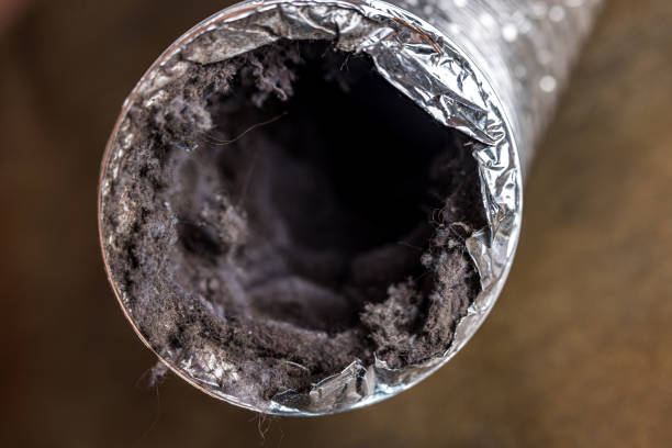 Best Air Duct Cleaning Near Me in Zelienople, PA